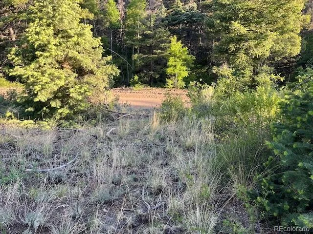 Lot 5693 Balleroy Road San Luis, CO 81152
