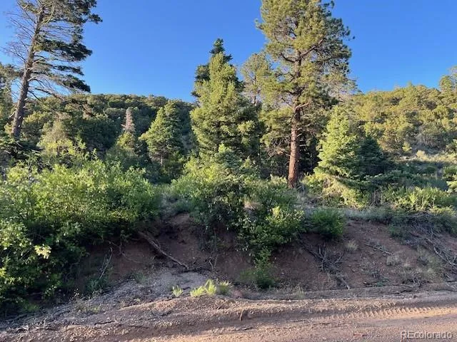 Lot 5693 Balleroy Road San Luis, CO 81152