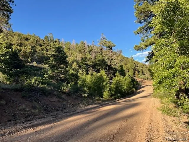 Lot 5693 Balleroy Road San Luis, CO 81152