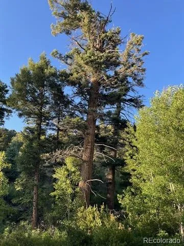 Lot 5693 Balleroy Road San Luis, CO 81152