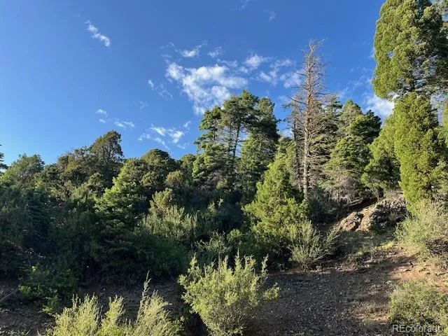Lot 5693 Balleroy Road San Luis, CO 81152