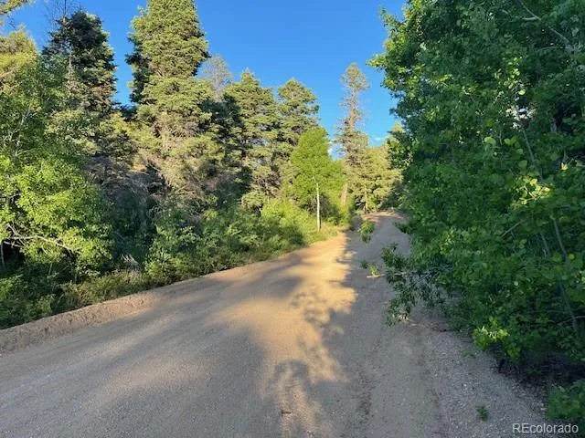 Lot 5693 Balleroy Road San Luis, CO 81152