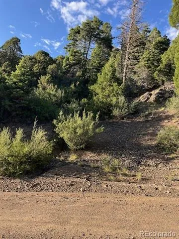 Lot 5693 Balleroy Road San Luis, CO 81152