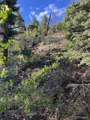Lot 5693 Balleroy Road San Luis, CO 81152