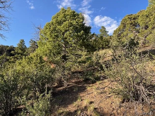 Lot 5693 Balleroy Road San Luis, CO 81152