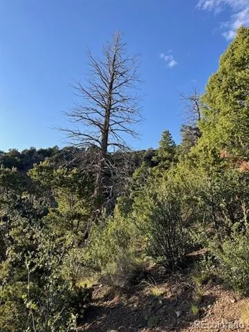 Lot 5693 Balleroy Road San Luis, CO 81152