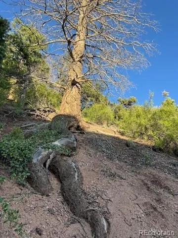Lot 5693 Balleroy Road San Luis, CO 81152
