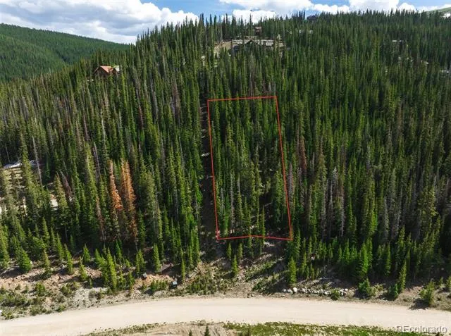 275 CR 805 Breckenridge, CO 80424
