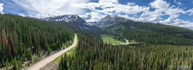 275 CR 805 Breckenridge, CO 80424