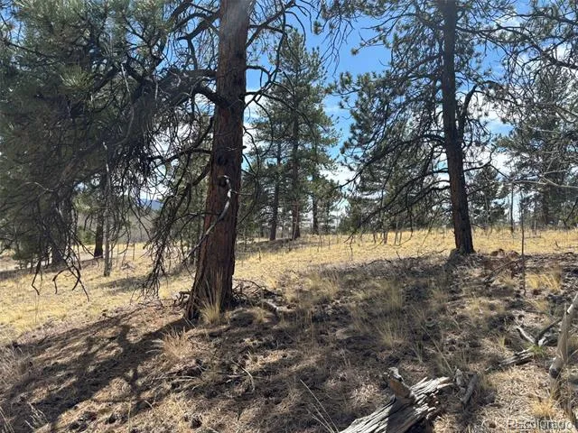 147 Bordenville Road Jefferson, CO 80456