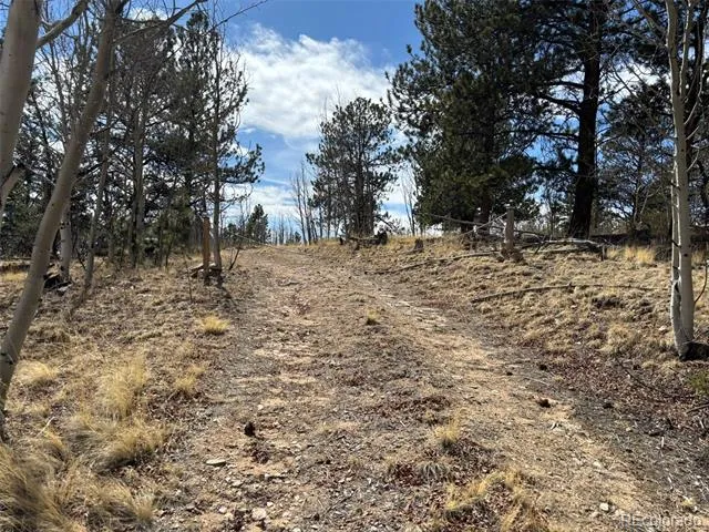 147 Bordenville Road Jefferson, CO 80456