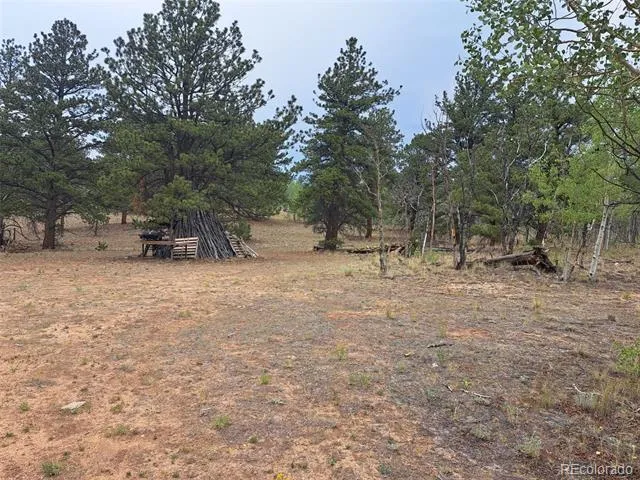 147 Bordenville Road Jefferson, CO 80456