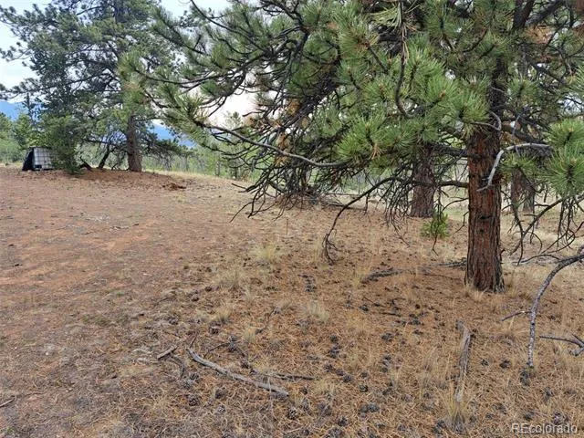 147 Bordenville Road Jefferson, CO 80456