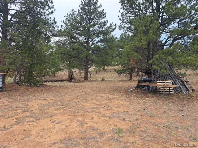 147 Bordenville Road Jefferson, CO 80456