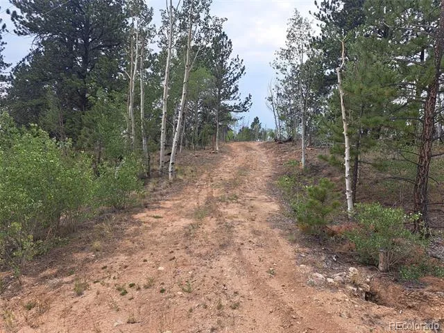 147 Bordenville Road Jefferson, CO 80456