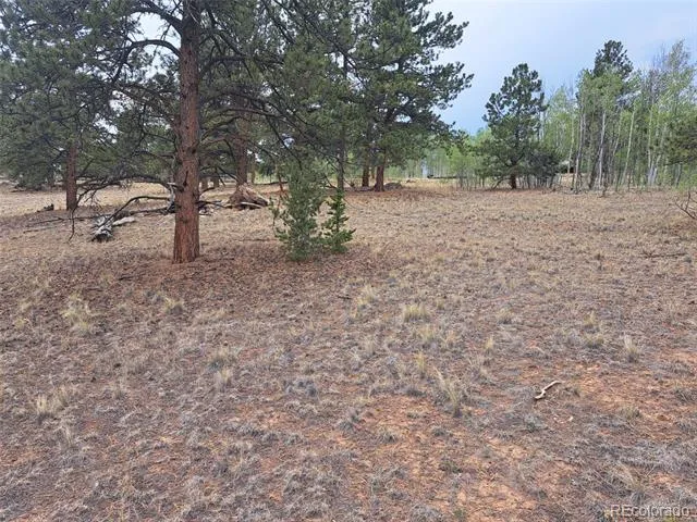 147 Bordenville Road Jefferson, CO 80456