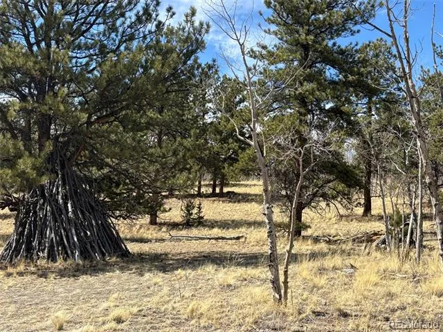 147 Bordenville Road Jefferson, CO 80456
