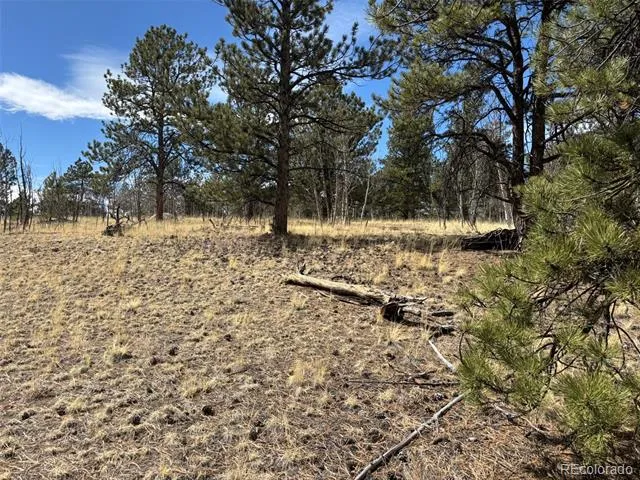 147 Bordenville Road Jefferson, CO 80456