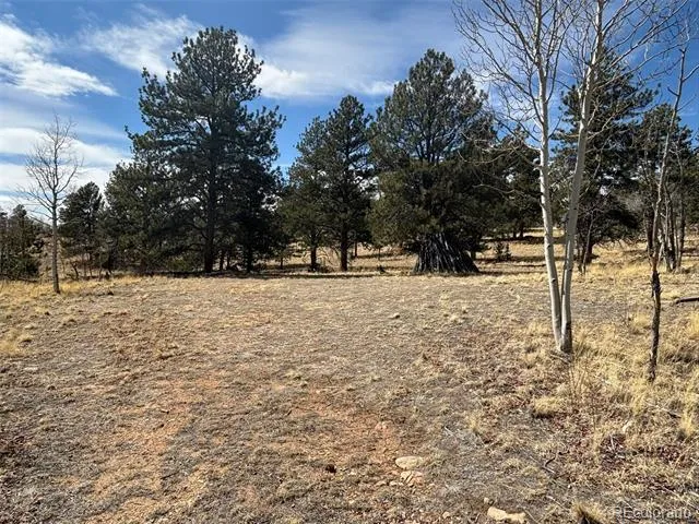147 Bordenville Road Jefferson, CO 80456