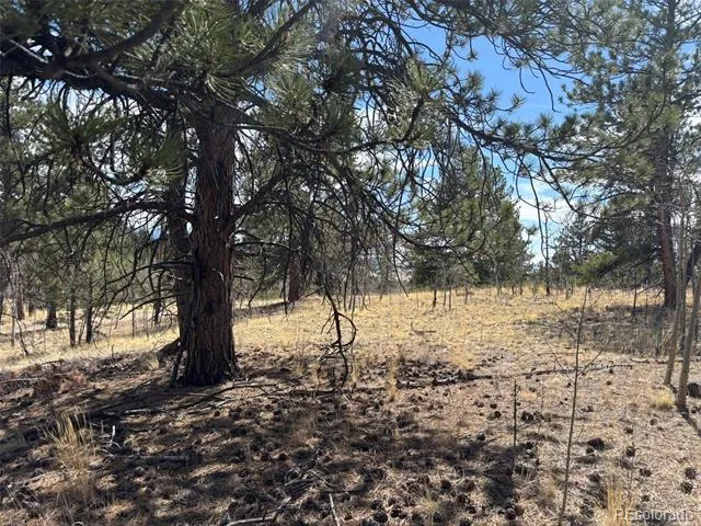 147 Bordenville Road Jefferson, CO 80456
