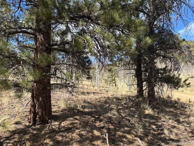 147 Bordenville Road Jefferson, CO 80456