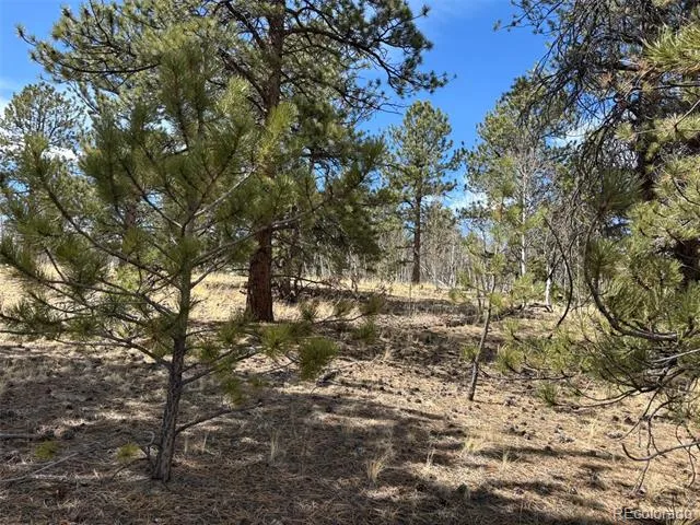 147 Bordenville Road Jefferson, CO 80456