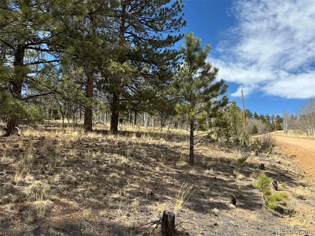 147 Bordenville Road Jefferson, CO 80456