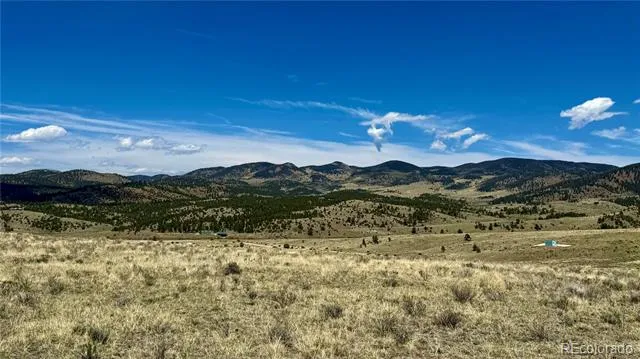 99 Melody Circle Westcliffe, CO 81252