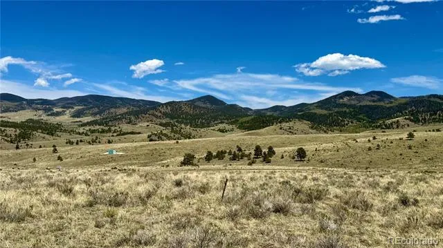 99 Melody Circle Westcliffe, CO 81252
