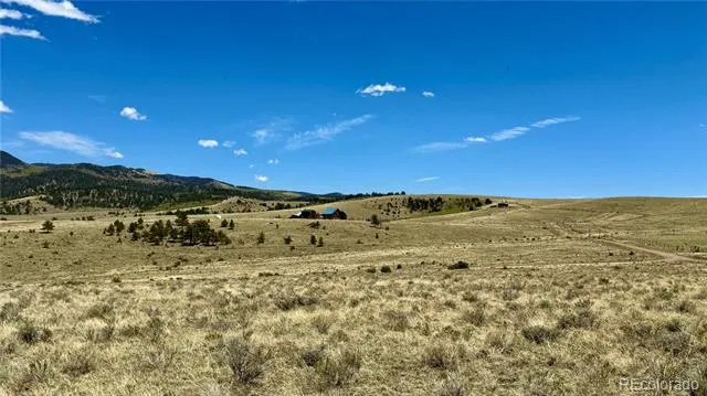 99 Melody Circle Westcliffe, CO 81252