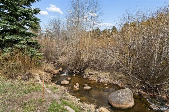 609 W 4th Street Nederland, CO 80466