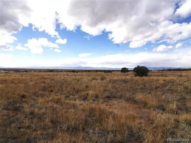 1603 Silver Spur Trail Crestone, CO 81131