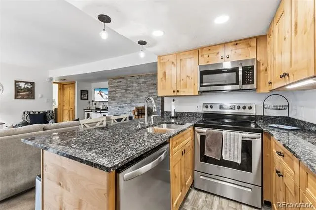 423 Wild Irishman Road #13202 Dillon, CO 80435