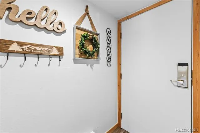 423 Wild Irishman Road #13202 Dillon, CO 80435