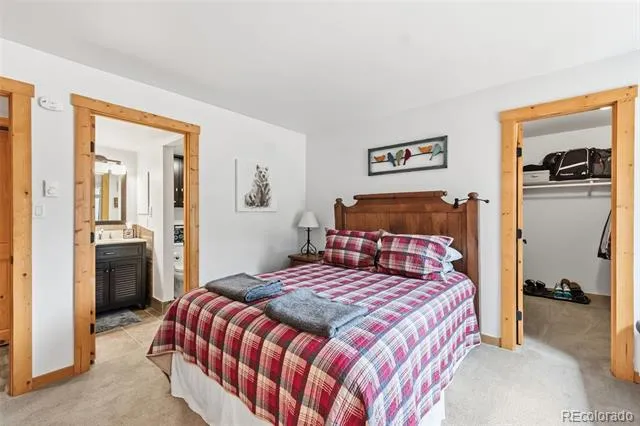 423 Wild Irishman Road #13202 Dillon, CO 80435