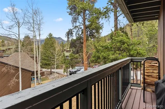 423 Wild Irishman Road #13202 Dillon, CO 80435