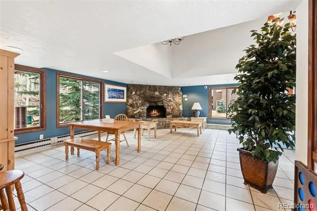 423 Wild Irishman Road #13202 Dillon, CO 80435