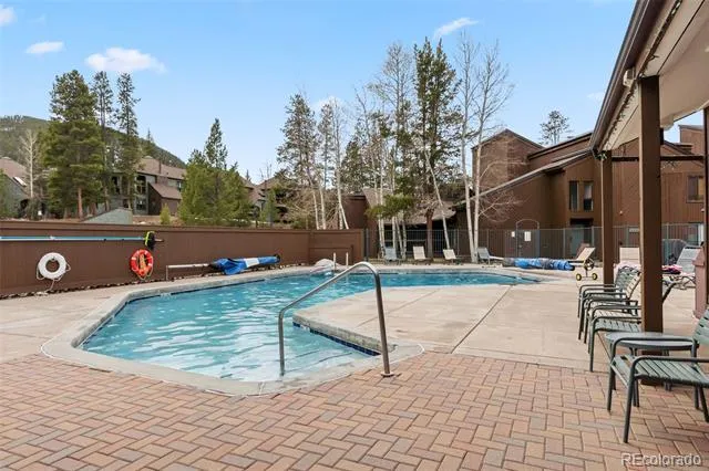 423 Wild Irishman Road #13202 Dillon, CO 80435