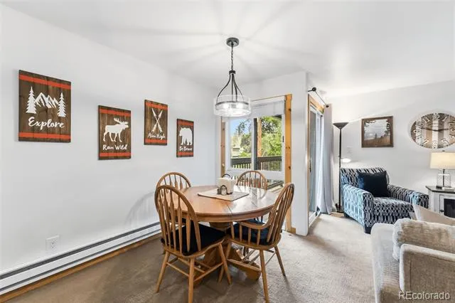 423 Wild Irishman Road #13202 Dillon, CO 80435