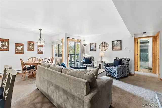 423 Wild Irishman Road #13202 Dillon, CO 80435