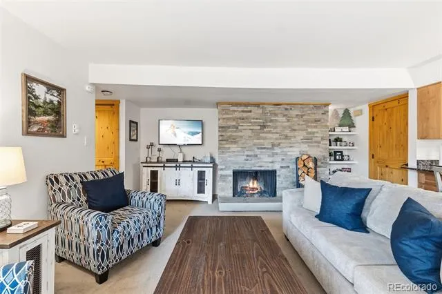 423 Wild Irishman Road #13202 Dillon, CO 80435