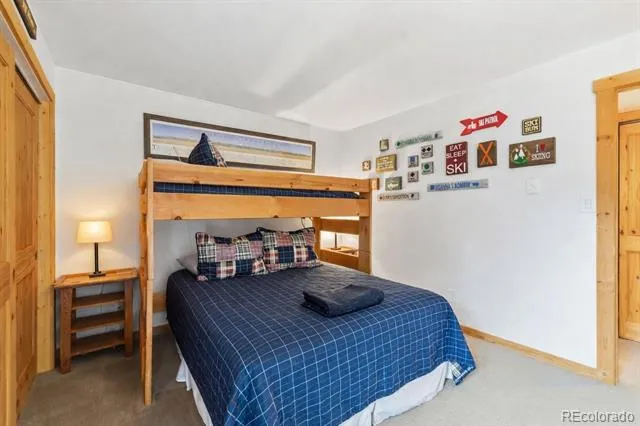 423 Wild Irishman Road #13202 Dillon, CO 80435