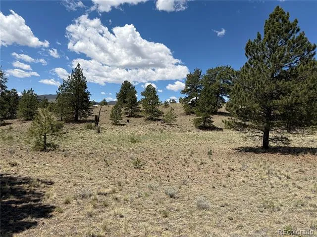 595 Bridle Path Hartsel, CO 80449