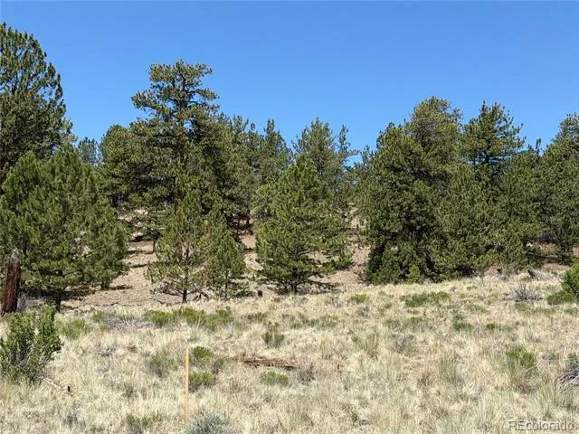 595 Bridle Path Hartsel, CO 80449