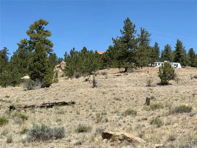 595 Bridle Path Hartsel, CO 80449
