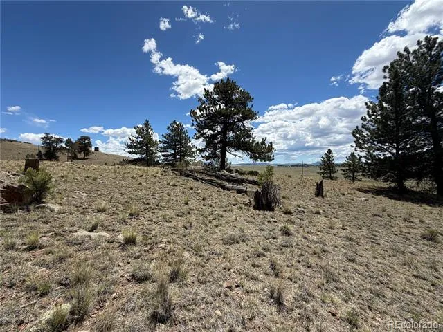 595 Bridle Path Hartsel, CO 80449