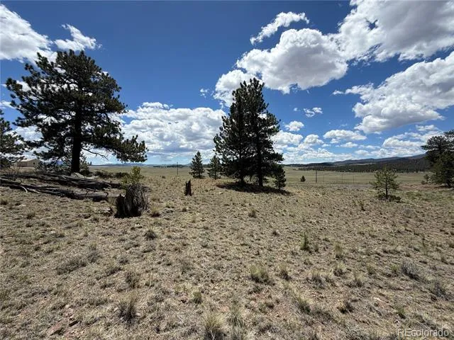 595 Bridle Path Hartsel, CO 80449