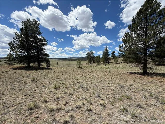 595 Bridle Path Hartsel, CO 80449