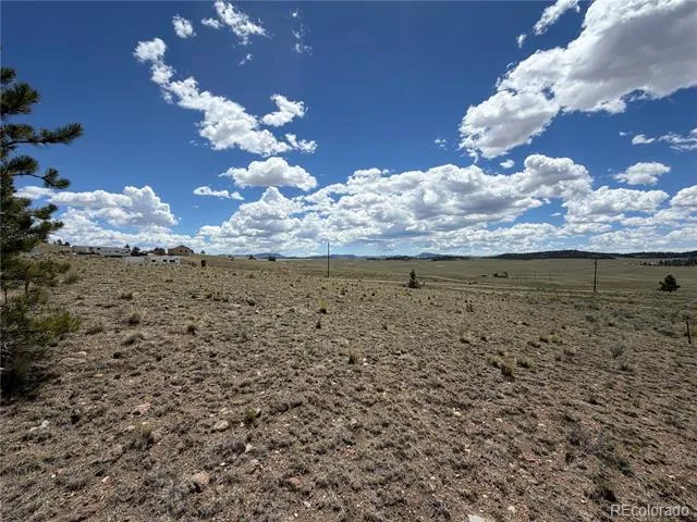 595 Bridle Path Hartsel, CO 80449