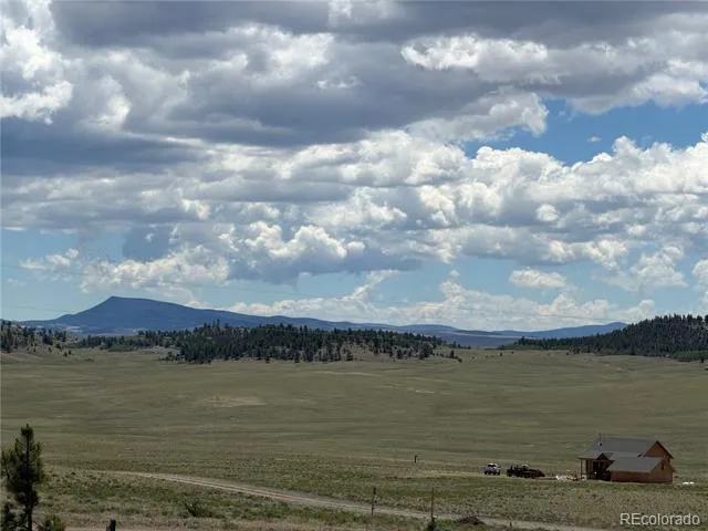 595 Bridle Path Hartsel, CO 80449